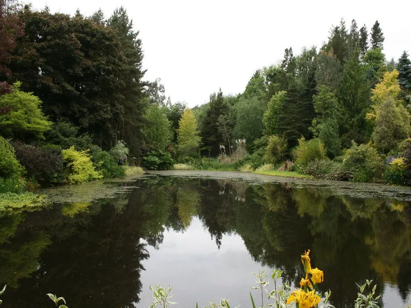 Dingle Nursery & Garden, Frochas, Welshpool